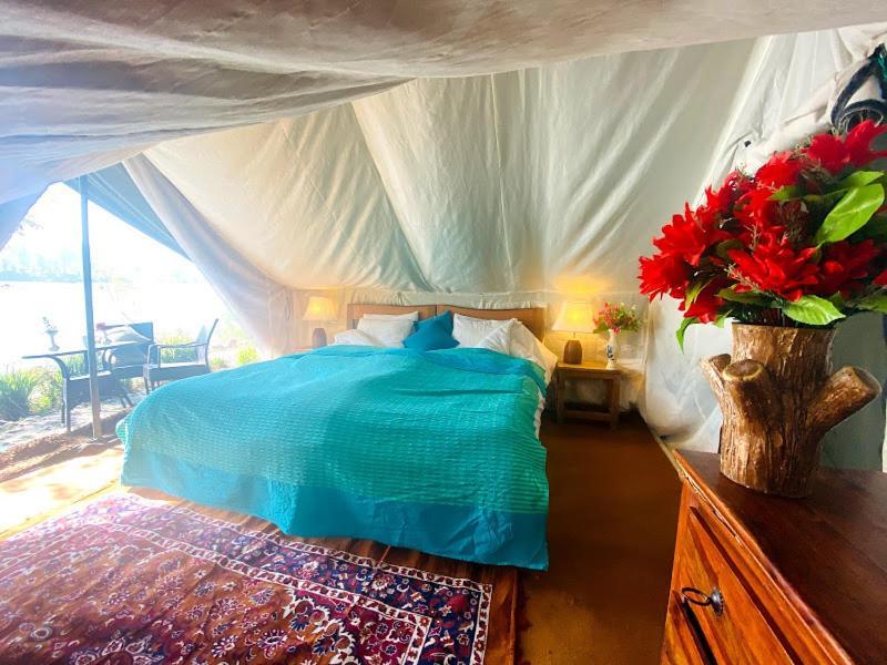 Hotel Lushy Days Boom Camp à Tanakpur Extérieur photo